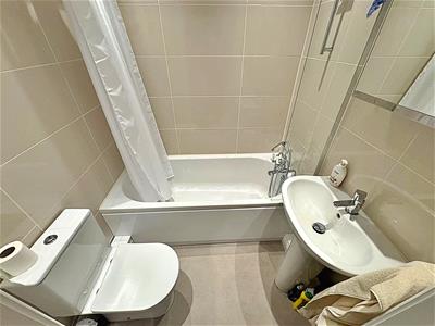 Picture 14
